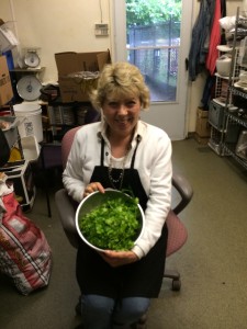 Linda, our kitchen manager, takes the harvested cilantro and makes it into lunch!