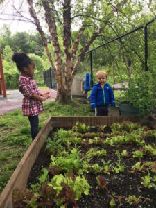 salad bed toddlers